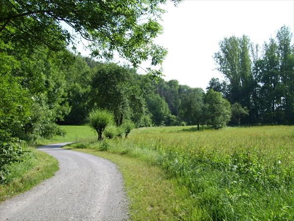 Der Fußweg von Enzweihingen nach Riet