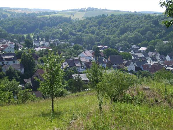 Vorne Riet, hinten Nussdorf