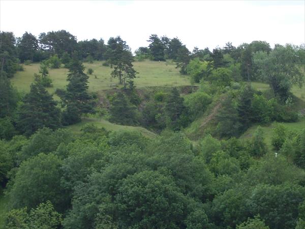 Ehemaliger Steinbruch - jetzt Naturschutzgebiet