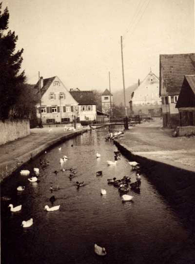 Der beflügelte Strudelbach